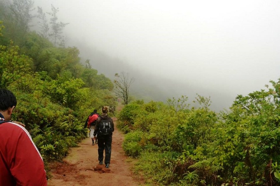 Coorg Trek